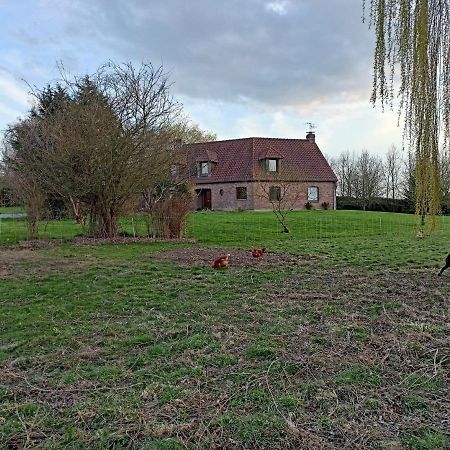 Les Chambres D'Hotes Du Vert Galant " L'Allee Des Champs" Verlinghem Buitenkant foto