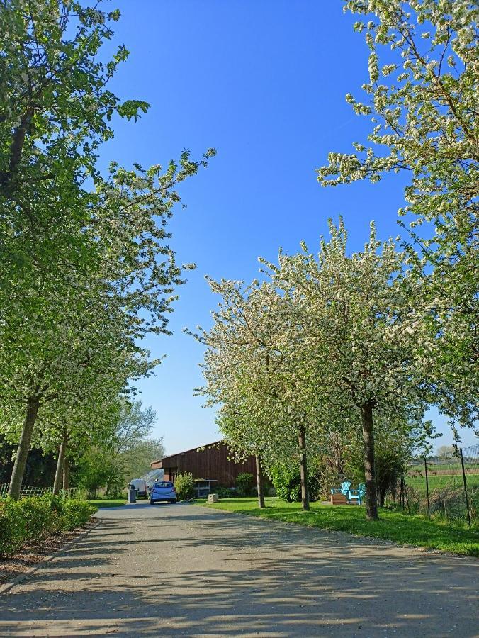 Les Chambres D'Hotes Du Vert Galant " L'Allee Des Champs" Verlinghem Buitenkant foto