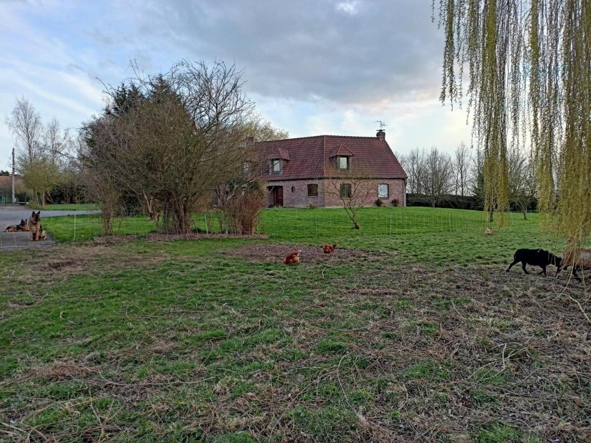 Les Chambres D'Hotes Du Vert Galant " L'Allee Des Champs" Verlinghem Buitenkant foto