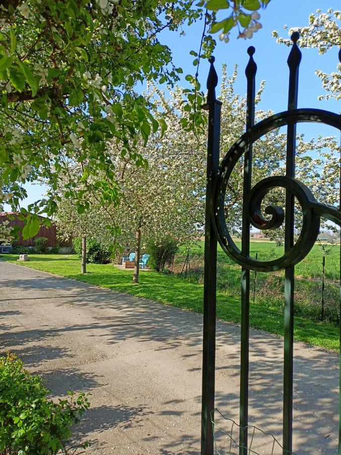 Les Chambres D'Hotes Du Vert Galant " L'Allee Des Champs" Verlinghem Buitenkant foto